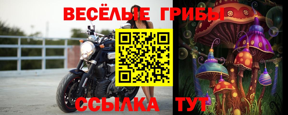 Кольчугино  Псилоцибиновые грибы мухоморы  Вход с VPN  Псилоцибиновые грибы Psilocybine cubensis 